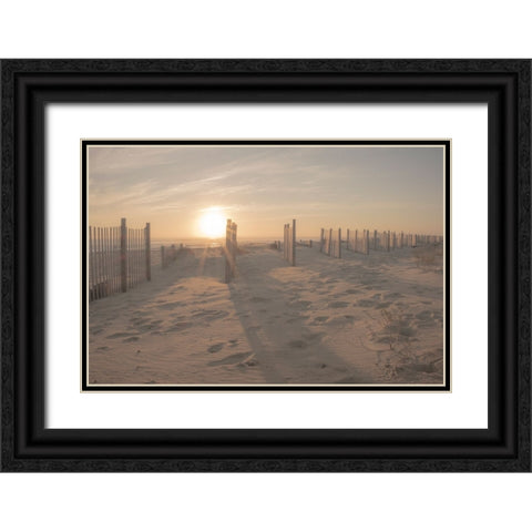 Sunset Beach Dune  Black Ornate Wood Framed Art Print with Double Matting by J:L Design