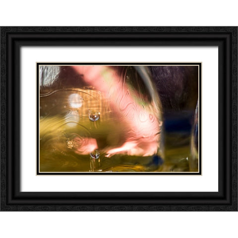Pink Fish Face Black Ornate Wood Framed Art Print with Double Matting by Stahl, David