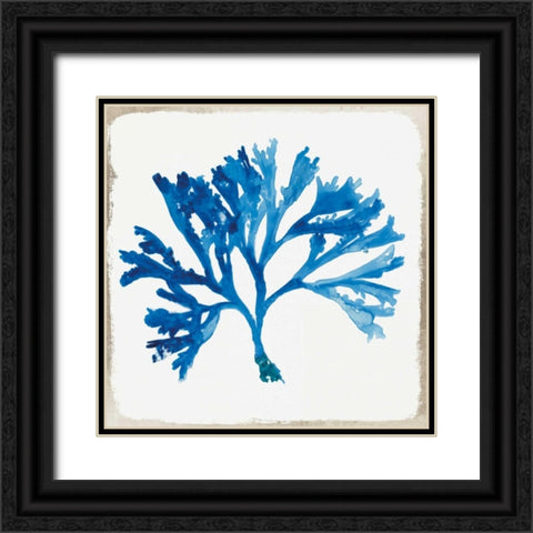 Blue Coral IV  Black Ornate Wood Framed Art Print with Double Matting by Wilson, Aimee