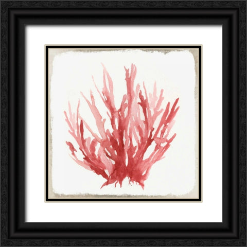 Red Coral I Black Ornate Wood Framed Art Print with Double Matting by Wilson, Aimee
