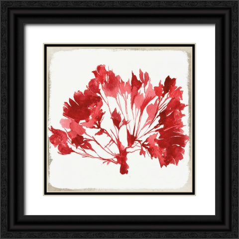 Red Coral IV Black Ornate Wood Framed Art Print with Double Matting by Wilson, Aimee