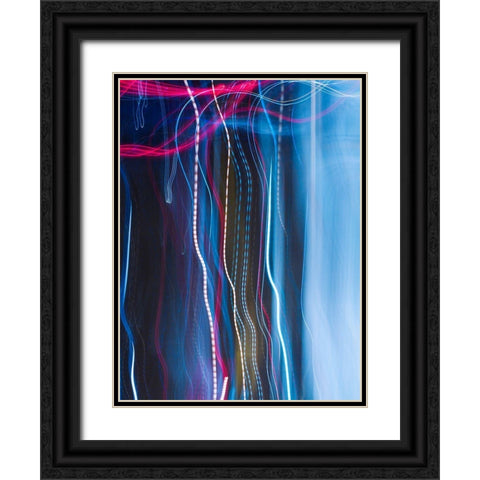 Stems II Black Ornate Wood Framed Art Print with Double Matting by Cooke, William