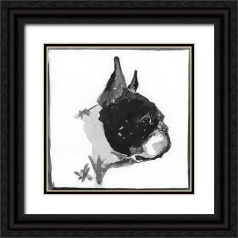 Boston Terrier Black Ornate Wood Framed Art Print with Double Matting by Cartissi