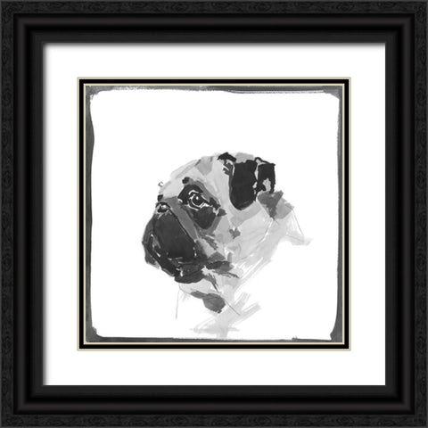 Pug Black Ornate Wood Framed Art Print with Double Matting by Cartissi