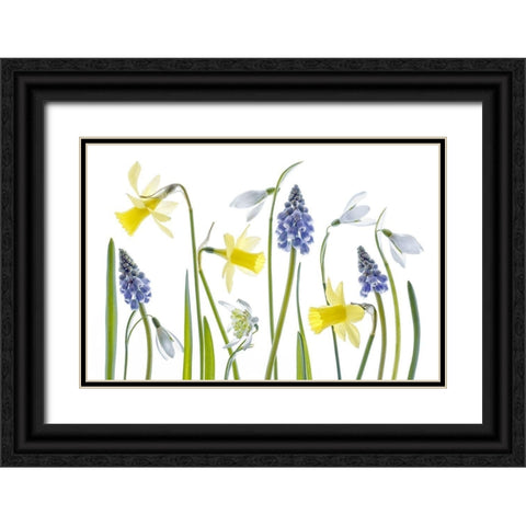 Spring Black Ornate Wood Framed Art Print with Double Matting by Disher