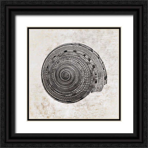 Aquatic Resources I Black Ornate Wood Framed Art Print with Double Matting by Zalewski, Christine