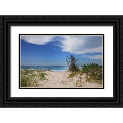 Dune Trail Black Ornate Wood Framed Art Print with Double Matting by Anderson, Brent