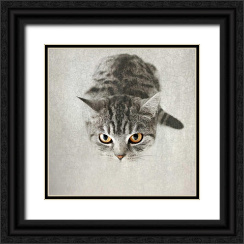 Hello Kitty Black Ornate Wood Framed Art Print with Double Matting by Attura, Nadia