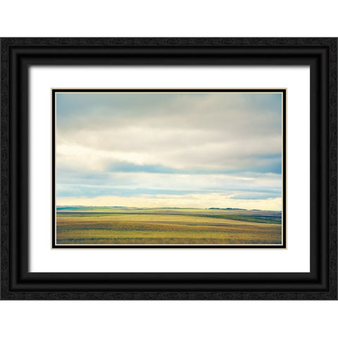 Farmland Plains Black Ornate Wood Framed Art Print with Double Matting by Annie Bailey Art