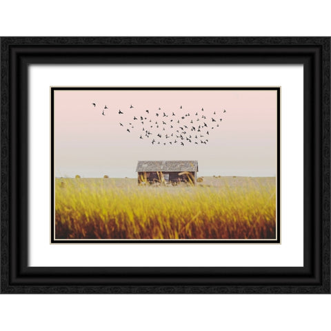 Harvest Barn Black Ornate Wood Framed Art Print with Double Matting by Annie Bailey Art