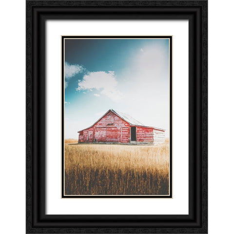 Restoration Black Ornate Wood Framed Art Print with Double Matting by Annie Bailey Art