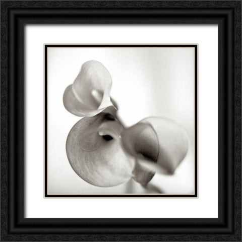 Florison - 59 Black Ornate Wood Framed Art Print with Double Matting by Blaustein, Alan