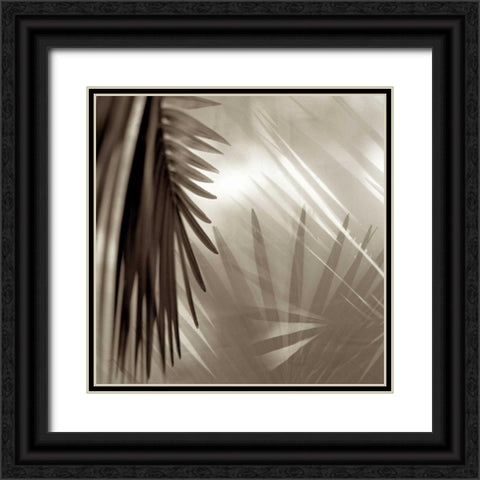 Florison - 55 Black Ornate Wood Framed Art Print with Double Matting by Blaustein, Alan