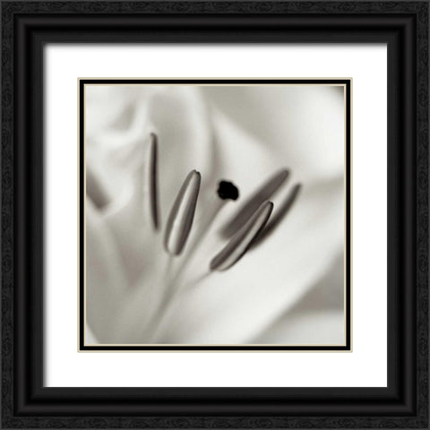 Florison - 52 Black Ornate Wood Framed Art Print with Double Matting by Blaustein, Alan