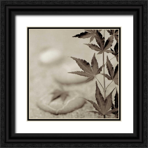 Florison - 61 Black Ornate Wood Framed Art Print with Double Matting by Blaustein, Alan