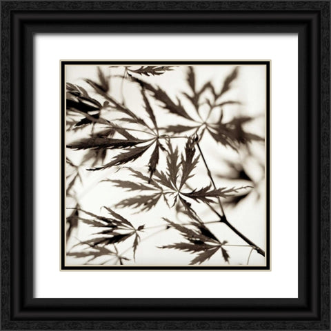 Florison - 50 Black Ornate Wood Framed Art Print with Double Matting by Blaustein, Alan