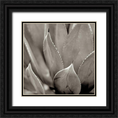 Florison - 49 Black Ornate Wood Framed Art Print with Double Matting by Blaustein, Alan