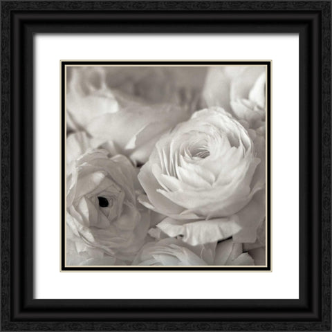 Florison - 47 Black Ornate Wood Framed Art Print with Double Matting by Blaustein, Alan