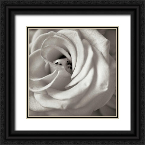 Florison - 43 Black Ornate Wood Framed Art Print with Double Matting by Blaustein, Alan