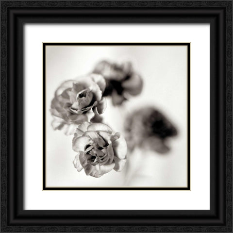 Florison - 39 Black Ornate Wood Framed Art Print with Double Matting by Blaustein, Alan