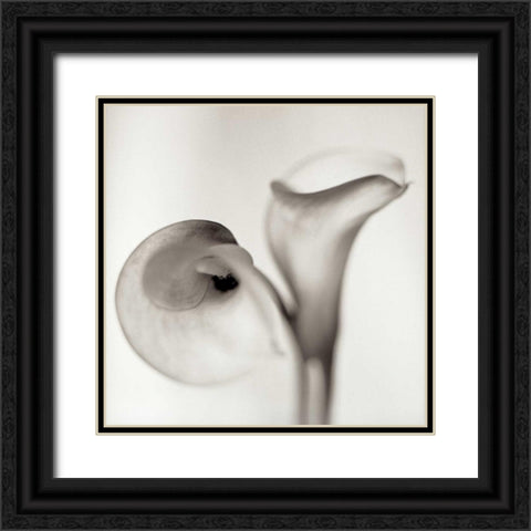 Florison - 35 Black Ornate Wood Framed Art Print with Double Matting by Blaustein, Alan