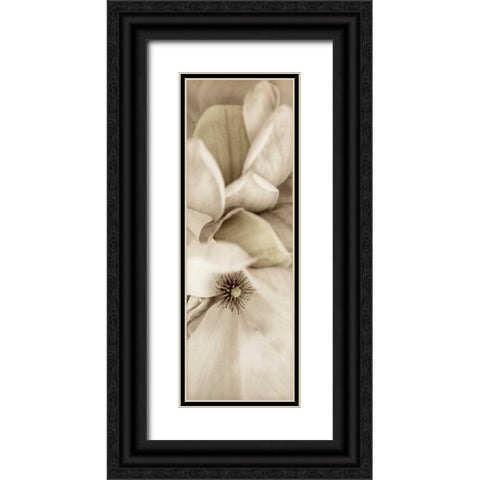 Florison - 70 Black Ornate Wood Framed Art Print with Double Matting by Blaustein, Alan