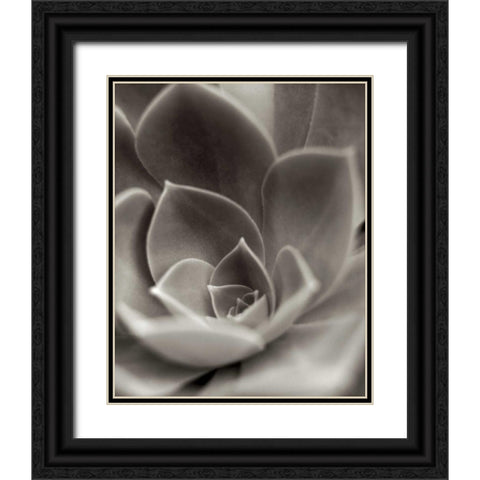 Florison - 25 Black Ornate Wood Framed Art Print with Double Matting by Blaustein, Alan