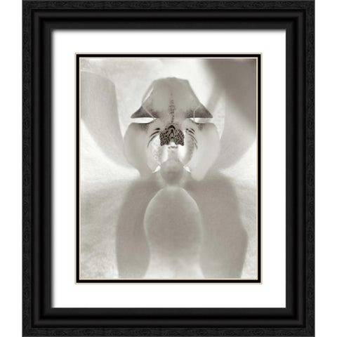 Florison - 26 Black Ornate Wood Framed Art Print with Double Matting by Blaustein, Alan