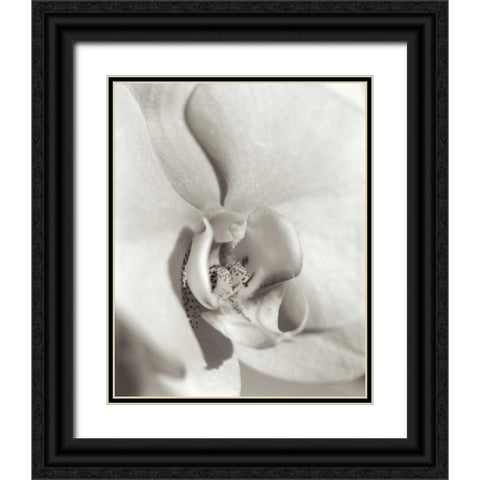 Florison - 22 Black Ornate Wood Framed Art Print with Double Matting by Blaustein, Alan