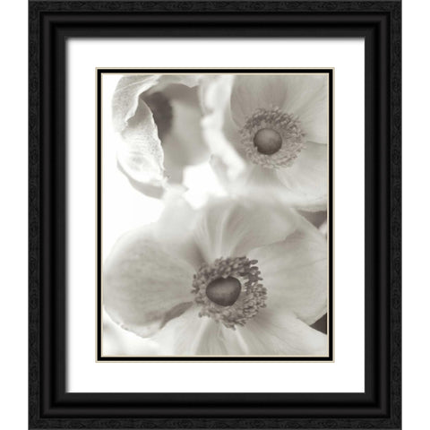 Florison - 20 Black Ornate Wood Framed Art Print with Double Matting by Blaustein, Alan