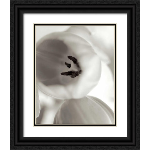 Florison - 16 Black Ornate Wood Framed Art Print with Double Matting by Blaustein, Alan