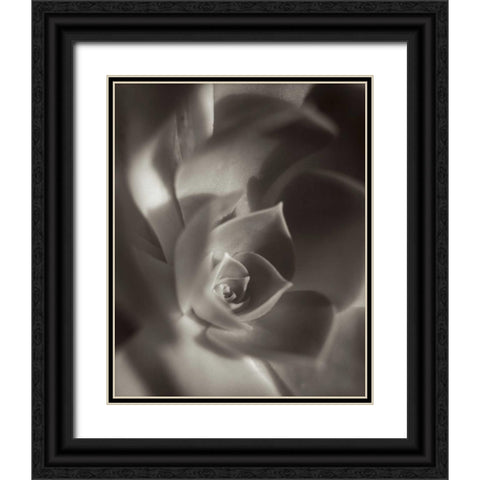 Florison - 11 Black Ornate Wood Framed Art Print with Double Matting by Blaustein, Alan