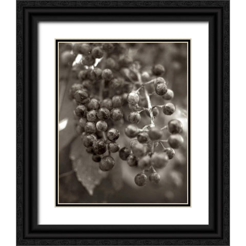 Florison - 9 Black Ornate Wood Framed Art Print with Double Matting by Blaustein, Alan