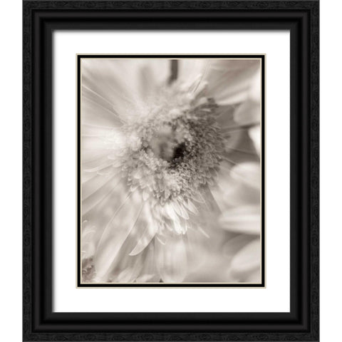 Florison - 5 Black Ornate Wood Framed Art Print with Double Matting by Blaustein, Alan