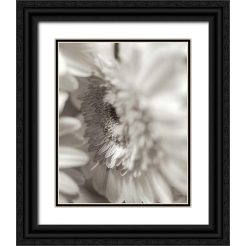 Florison - 4 Black Ornate Wood Framed Art Print with Double Matting by Blaustein, Alan