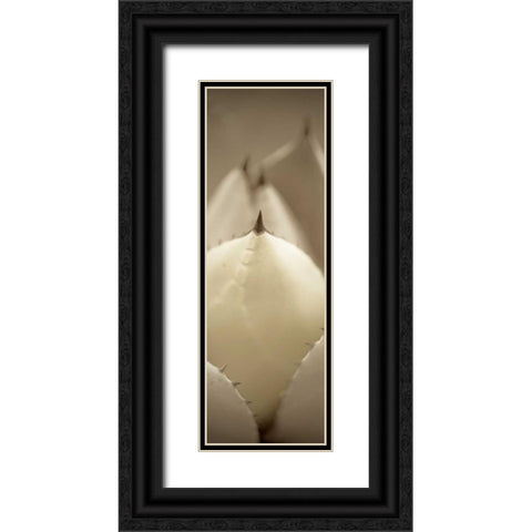 Florison - 67 Black Ornate Wood Framed Art Print with Double Matting by Blaustein, Alan