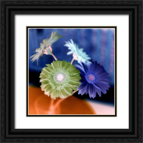 Floral Color - 3 Black Ornate Wood Framed Art Print with Double Matting by Blaustein, Alan