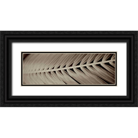 Florison - 99 Black Ornate Wood Framed Art Print with Double Matting by Blaustein, Alan