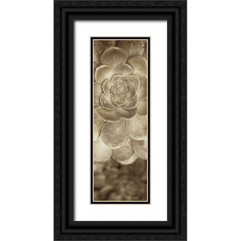 Florison - 91 Black Ornate Wood Framed Art Print with Double Matting by Blaustein, Alan