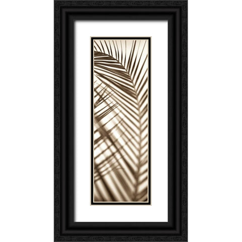 Florison - 72 Black Ornate Wood Framed Art Print with Double Matting by Blaustein, Alan