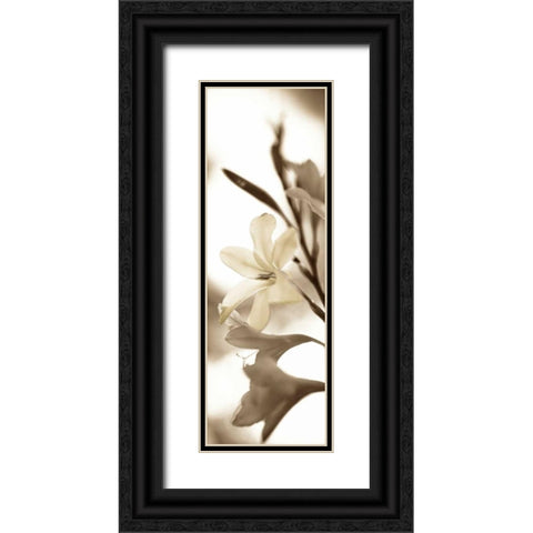 Florison - 76 Black Ornate Wood Framed Art Print with Double Matting by Blaustein, Alan