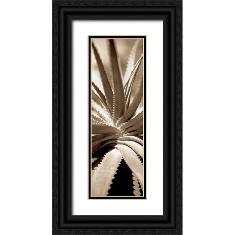 Florison - 77 Black Ornate Wood Framed Art Print with Double Matting by Blaustein, Alan