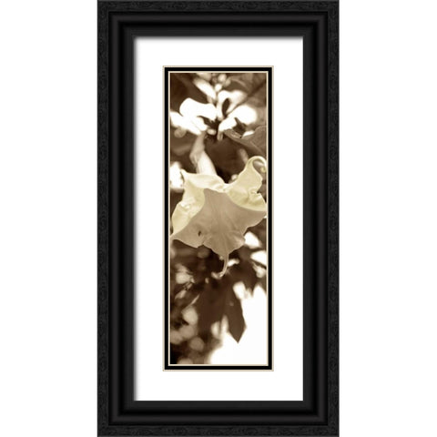 Florison - 78 Black Ornate Wood Framed Art Print with Double Matting by Blaustein, Alan