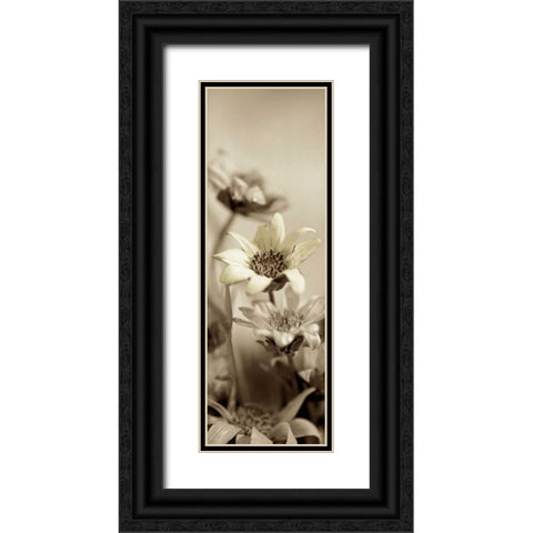 Florison - 79 Black Ornate Wood Framed Art Print with Double Matting by Blaustein, Alan