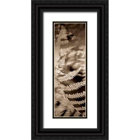 Florison - 80 Black Ornate Wood Framed Art Print with Double Matting by Blaustein, Alan