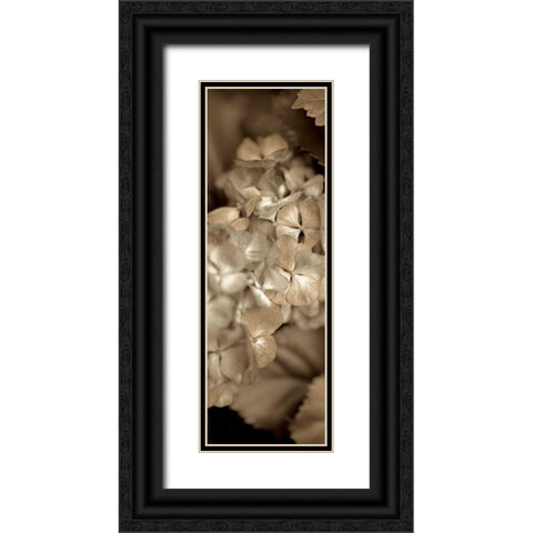 Florison - 90 Black Ornate Wood Framed Art Print with Double Matting by Blaustein, Alan