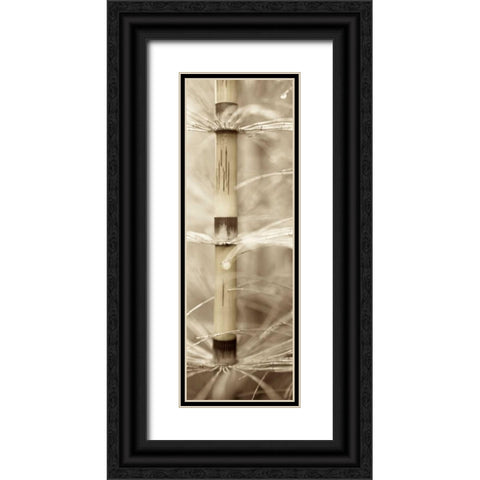 Florison - 93 Black Ornate Wood Framed Art Print with Double Matting by Blaustein, Alan