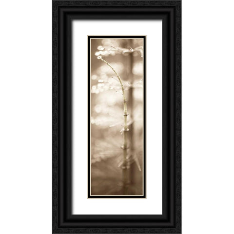 Florison - 94 Black Ornate Wood Framed Art Print with Double Matting by Blaustein, Alan