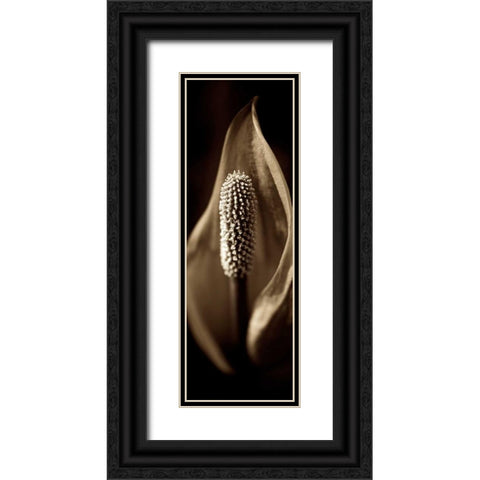 Florison - 95 Black Ornate Wood Framed Art Print with Double Matting by Blaustein, Alan