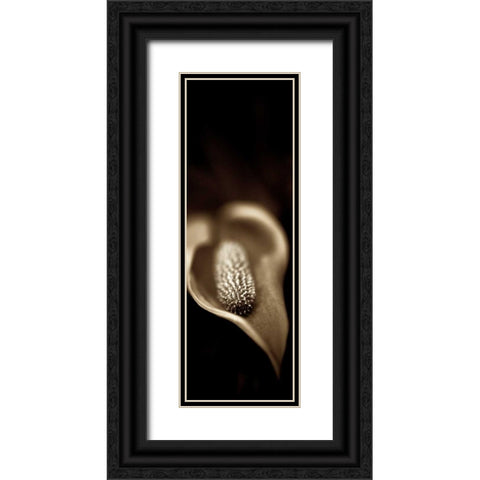 Florison - 96 Black Ornate Wood Framed Art Print with Double Matting by Blaustein, Alan